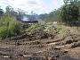 Taree-RoyCrossTimber 046